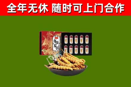 邹平回收冬虫夏草价格